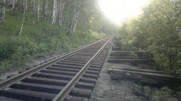 Строительство,  реконструкция и ремонт железнодорожных подъездных путей,  жд тупиков — фото 5